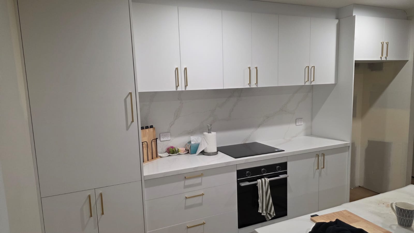 Large modern kitchen renovation